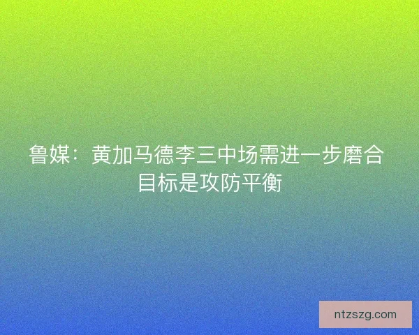 鲁媒：黄加马德李三中场需进一步磨合 目标是攻防平衡